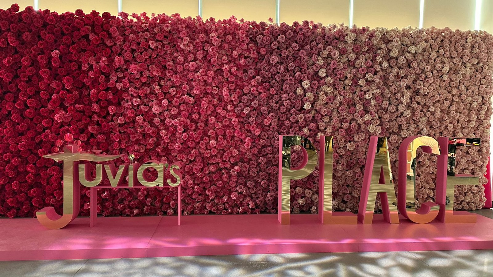 7d6efe54-dc59-42c6-a6d0-05bcb0ed0935